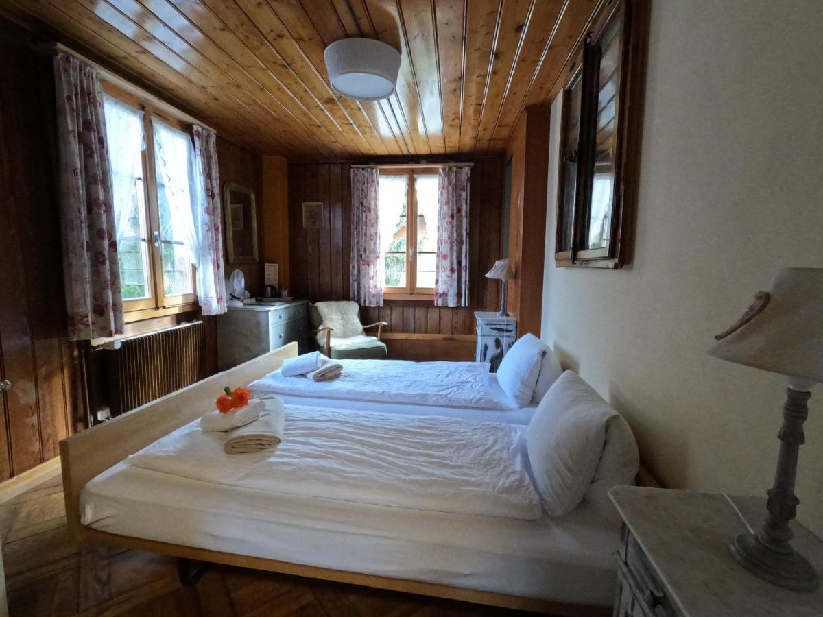 Edelweiss Lodge Wilderswil Bagian luar foto