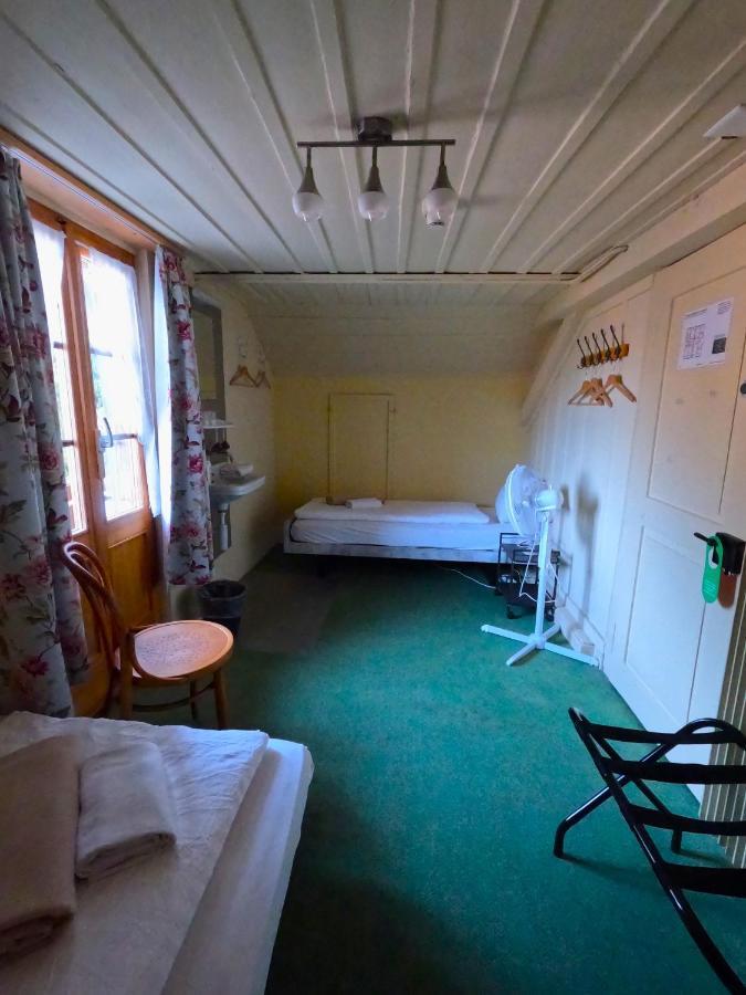 Edelweiss Lodge Wilderswil Bagian luar foto