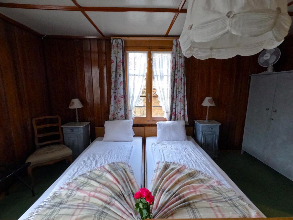 Edelweiss Lodge Wilderswil Bagian luar foto