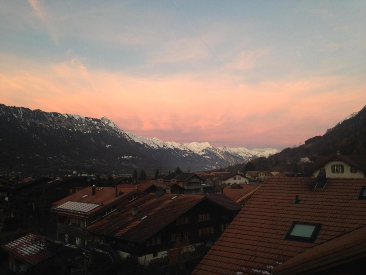 Edelweiss Lodge Wilderswil Bagian luar foto