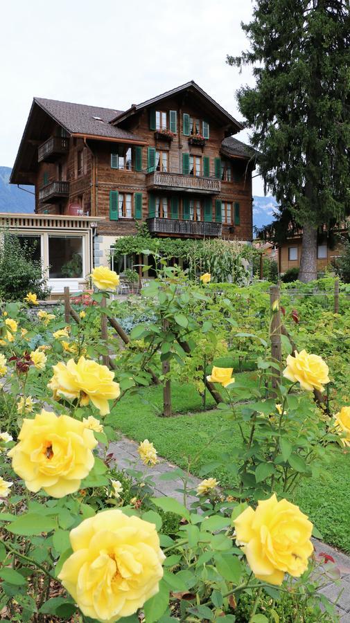 Edelweiss Lodge Wilderswil Bagian luar foto