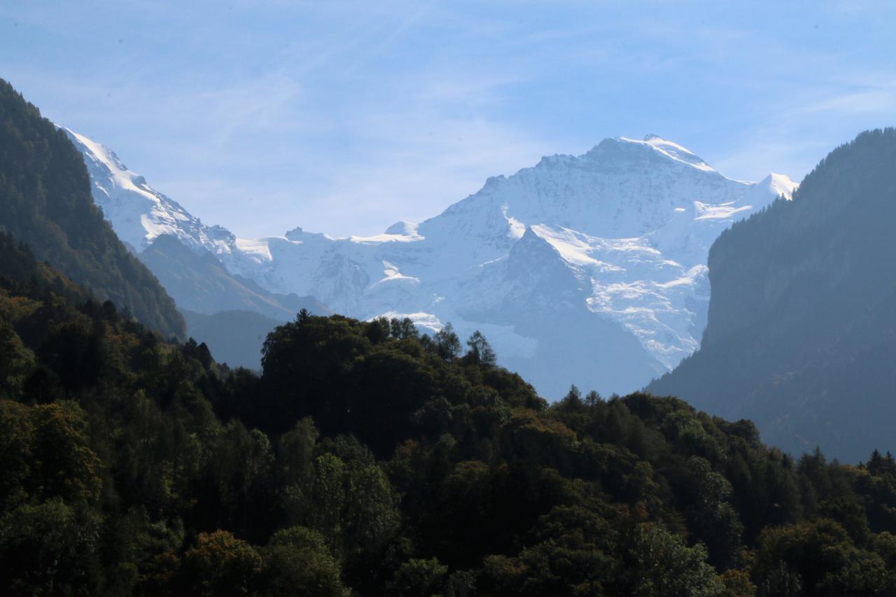 Edelweiss Lodge Wilderswil Bagian luar foto