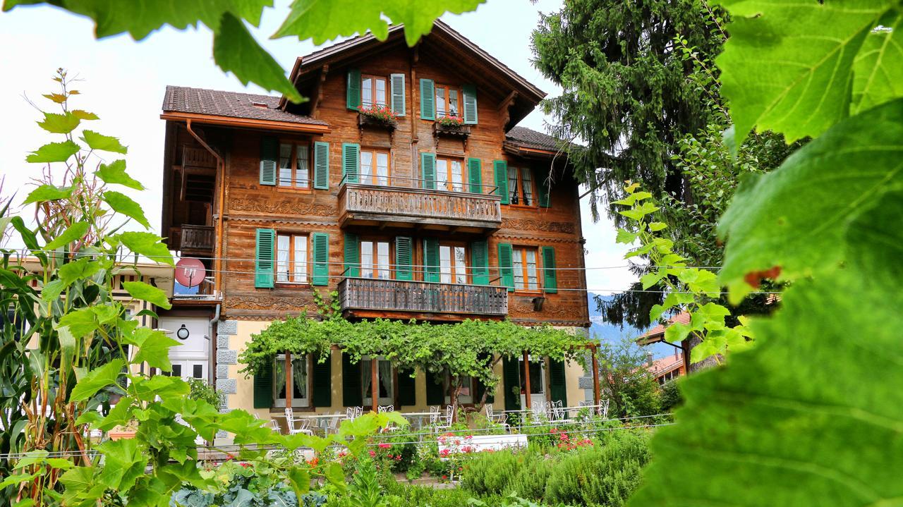 Edelweiss Lodge Wilderswil Bagian luar foto