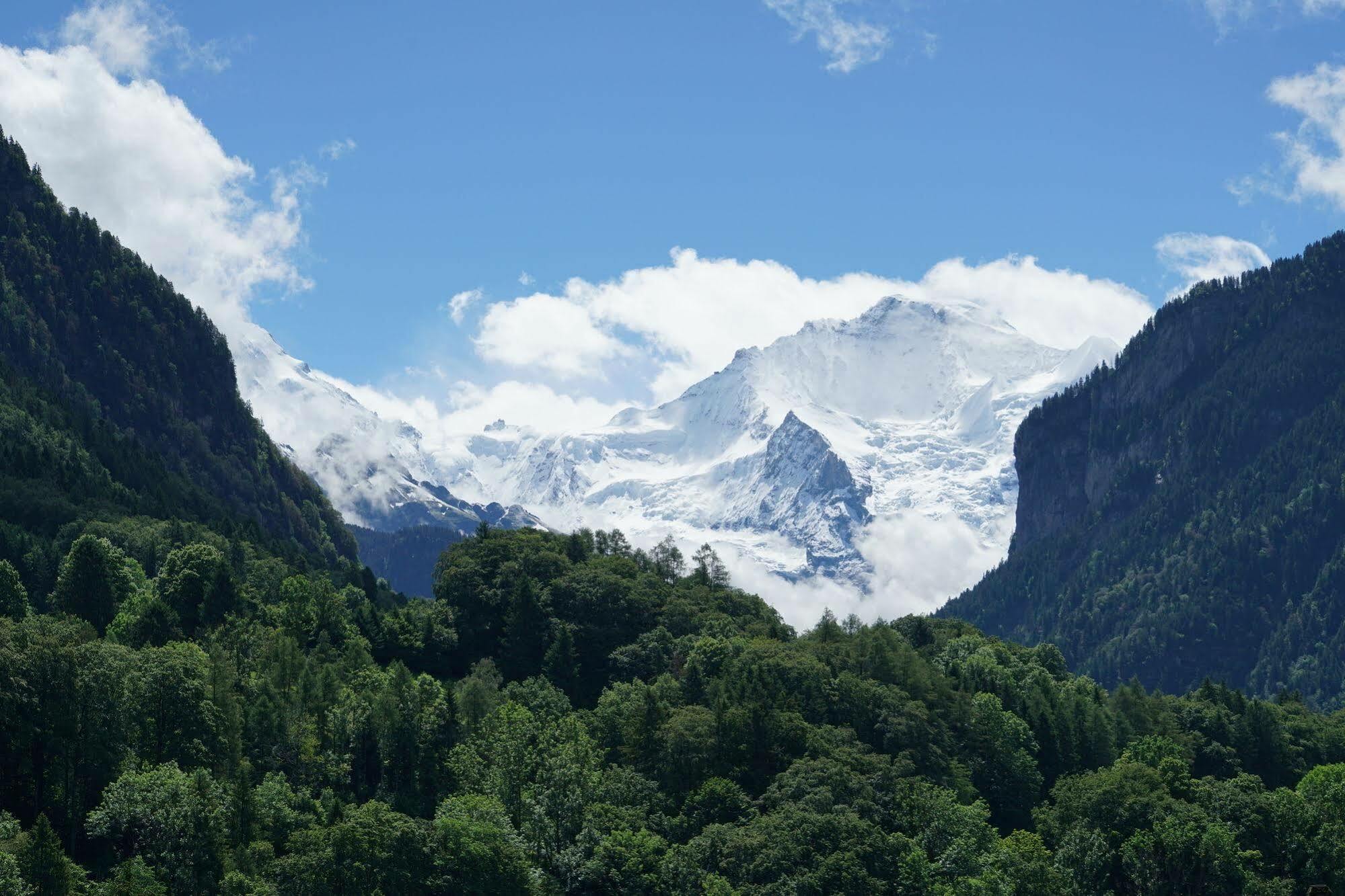 Edelweiss Lodge Wilderswil Bagian luar foto